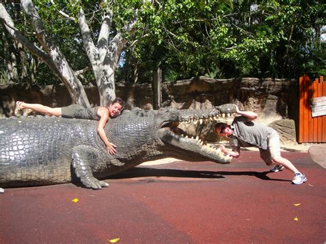 Miss Thibault s Teacher Exchange Adventure: Steve Irwin Zoo north of ...