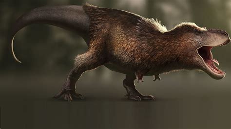 Mitos del Tyrannosaurus Rex, ¿cómo eran realmente los T ...