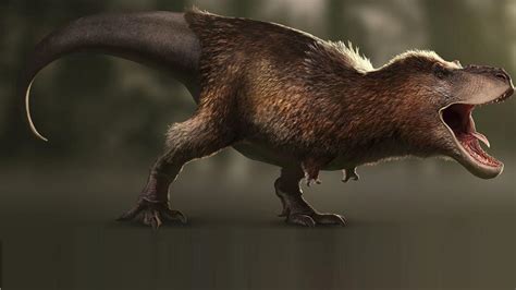Mitos del Tyrannosaurus Rex, ¿cómo eran realmente los T Rex? | Life ...