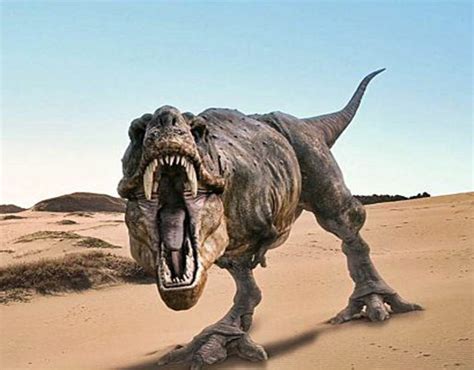 Mitos sobre el tiranosaurio Rex