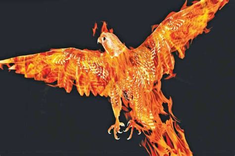 Mitos y leyendas: Alicanto, el ave de la fortuna   Muy Interesante