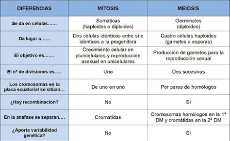 Mitosis y meiosis: 2017