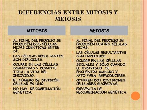 Mitosis y meiosis