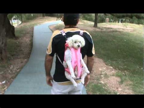 mochila Dogpack para transportar perros mascotas   YouTube