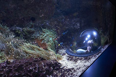 Modernisiertes Aquarium wiedereröffnet | Zoo Leipzig