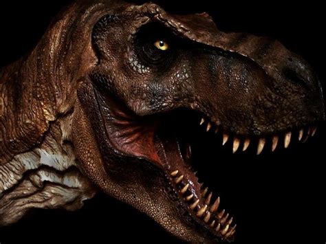 Modifica su nombre y ahora se llama Tiranosaurio Rex   IBWEB