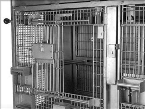 Modular Primate Cage Units | Lab Animal Housing & Equipment