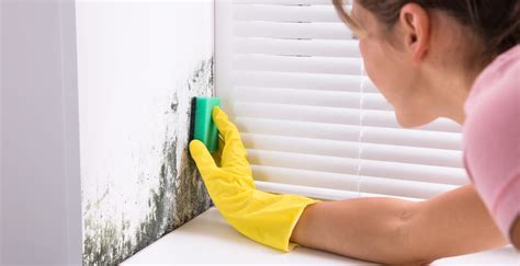 Moho en paredes: cómo eliminar hongos y humedad