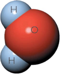 Molécula y Compuestos Químicos