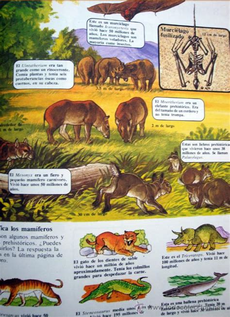 Momentos en Blog  por Antonio Ortiz Carrasco : Primer libro de animales ...