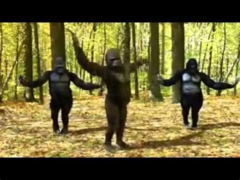 monkey dancing exercise   YouTube