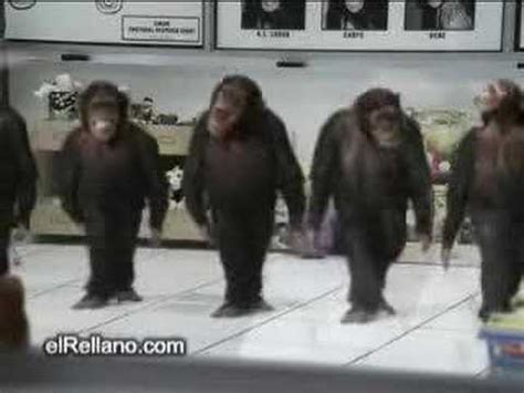 Monkeys Dancing   YouTube