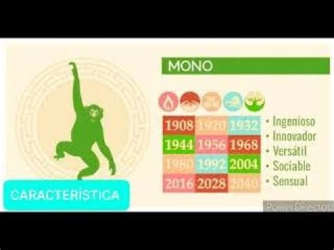 MONO Características del mono en el horóscopo chino   YouTube