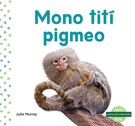 Mono tití pigmeo  Pygmy Marmoset    ABDO