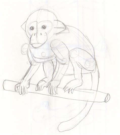 Mono Tití por EdoNova | Dibujando