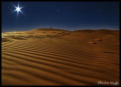 Moonlight Shadow ! | Explored   Mar 11, 2010 #385   SAHARA ...
