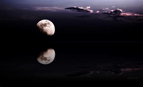 Moonlight Shadow Photograph by Steve K
