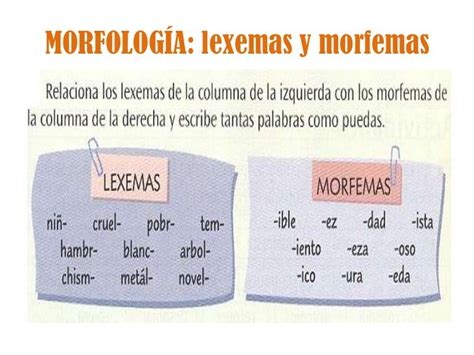 Morfología practica examen | Teacher resources, Spanish ...