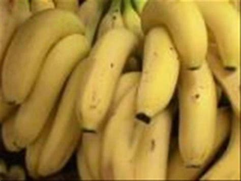 Morning Banana Diet   YouTube