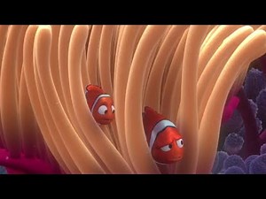 Morning of first day of School   Finding Nemo  2003  | Hindi