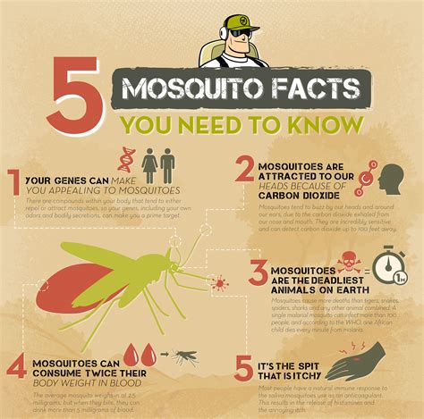 mosquito facts | Mosquito repelling plants, Mosquito ...