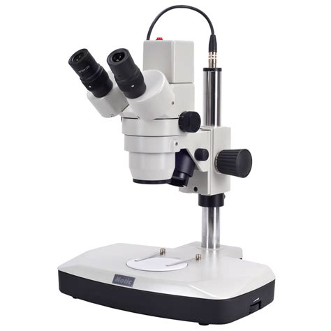 Motic DM143 Digital Stereo Microscope