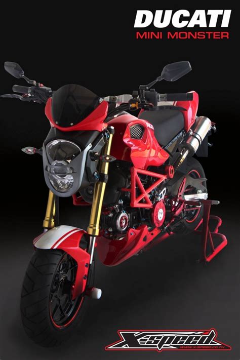 MotoMalaya: Ducati Mini Monster Honda MSX 125 by XSpeed ...
