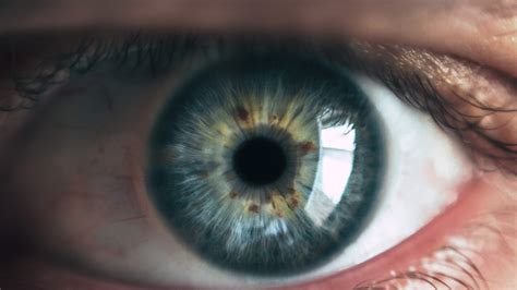 Mucho ojo con nuestros ojos | Gaceta del Colegio de Ciencias y Humanidades