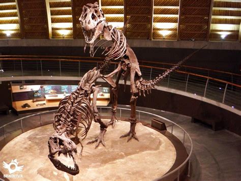 Muja Jurassic Museum of Asturias | Places to visit in Pricipado of ...