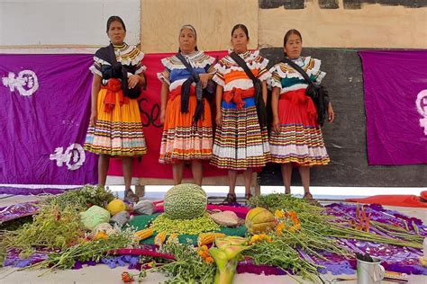 Mujeres indígenas de Guerrero marchan en Chilpancingo – Perfil Urbano