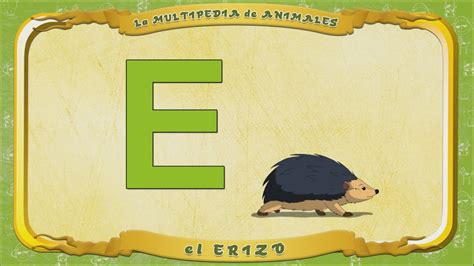 Multipedia of Animals. Letter H   Hedgehog   YouTube