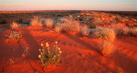 Mundo: Recorre el impresionante desierto de Simpson en Australia ...