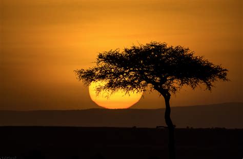 Mundos Mágicos: Lugares mágicos...Kenia