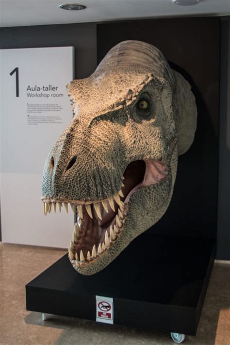 MUPA Museo Paleontológico de Castilla La Mancha | Cuenca ...