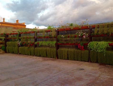Muro vegetal económico | Muro vegetal, Muros