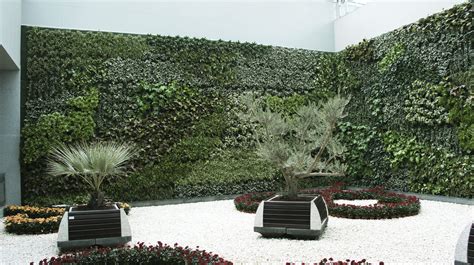 Muro vegetal estabilizado / de plantas naturales / de ...