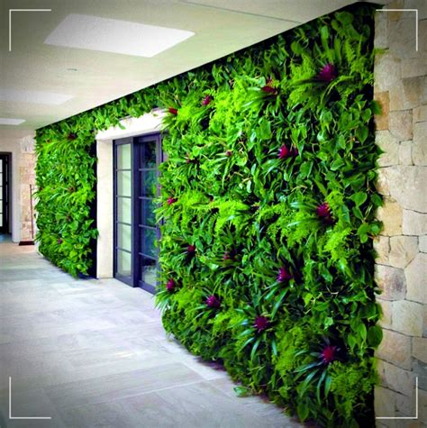 Muro verde en tu diseño interior y exterior   Su impacto en diferentes ...
