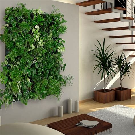 Muro Verde Jardin Vertical Follaje Interior Maceta Geotextil 2x1 ...