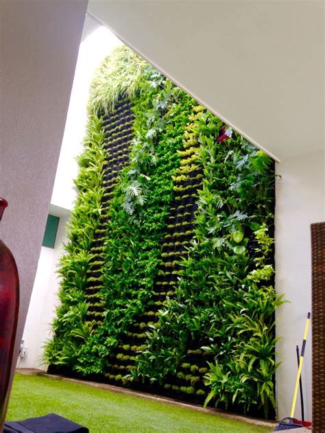 Muro verde jardin vertical | Muros verdes, Jardines verticales, Muros ...