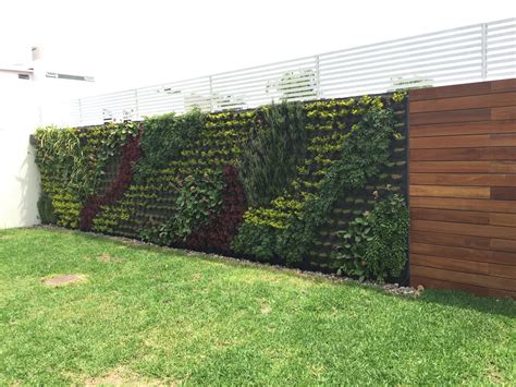 Muro verde | Jardines verticales, Muros verdes, Cocinas de casas pequeñas