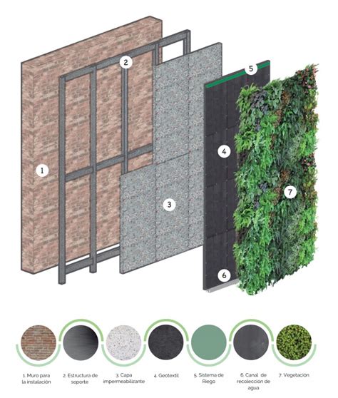 Muro Verde | Muros verdes, Muro de jardín, Muro de jardín vertical
