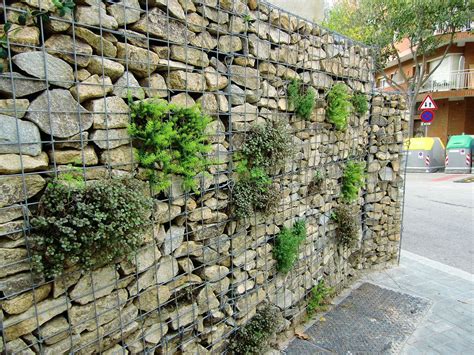 muro verde muroxs | Jardines verticales, Muros verdes, Techos verdes