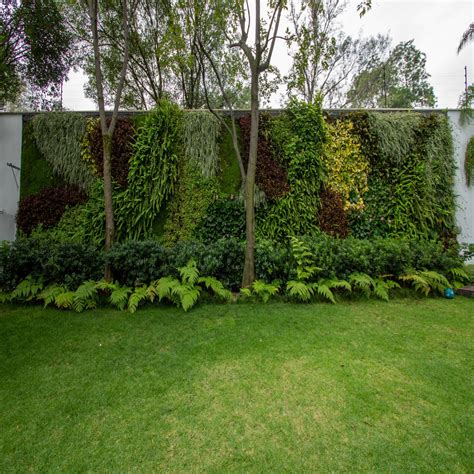 Muro verde natural, san angel inn jardines modernos de generación verde ...