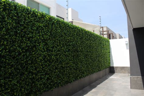 ¡Muro verde, sin complicaciones! – Ramave