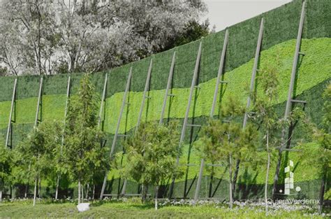 Muros Verdes Artificiales para interiores y exteriores  Te ...