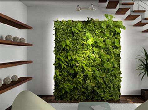 Muros verdes en oficinas, más que simple decoración | DineroenImagen