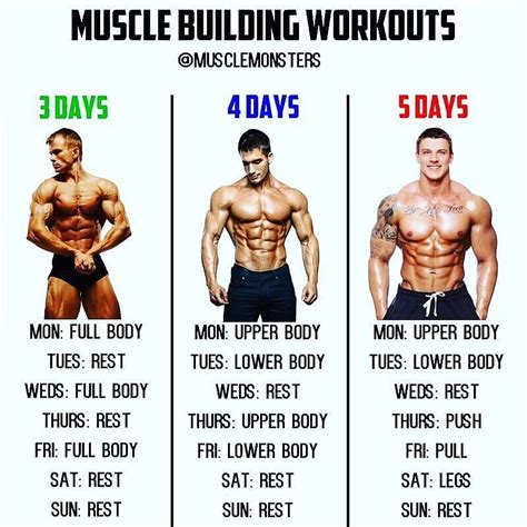 Muscle groups: Muscle Building Workouts By @musclemonsters ...