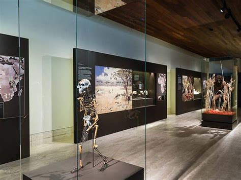 Museo Arqueológico Nacional: Horarios, Precios y Visitas  2021