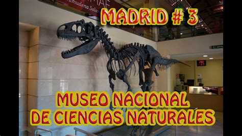 Museo De Ciencias Naturales De Madrid, Que Ver   YouTube