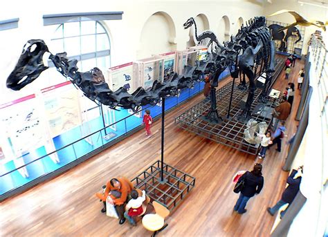 Museo de Ciencias Naturales ¡un gran plan en Madrid! | PequeViajes